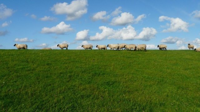 <p>
	<em>Снимка: Pixabay</em></p>
