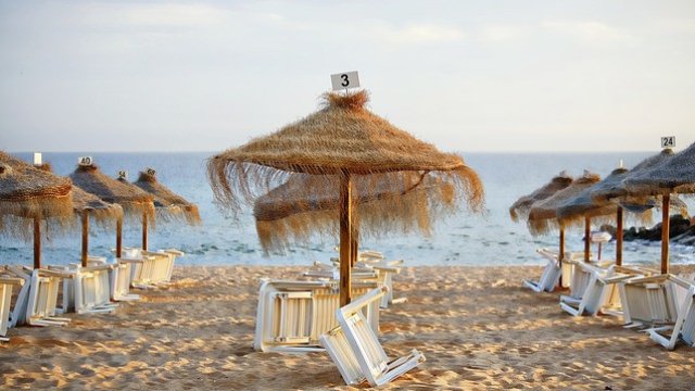 Снимка: Pixabay