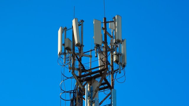 Снимка: Pixabay