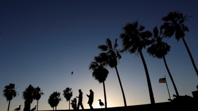 <p>
	Изглед към Лос Анджелис, Калифорния. <em>Снимка: Архив Ройтерс</em></p>
