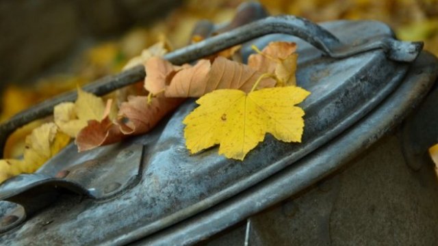 <p>
	<em>Снимка: Pixabay</em></p>
