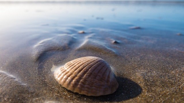 <p>
	<em>Снимка: Pixabay</em></p>
