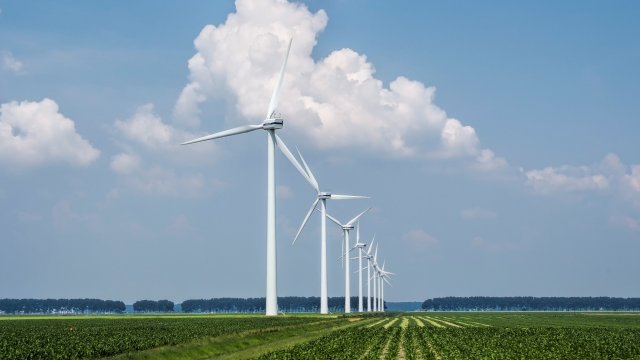 Снимка: freepik.com