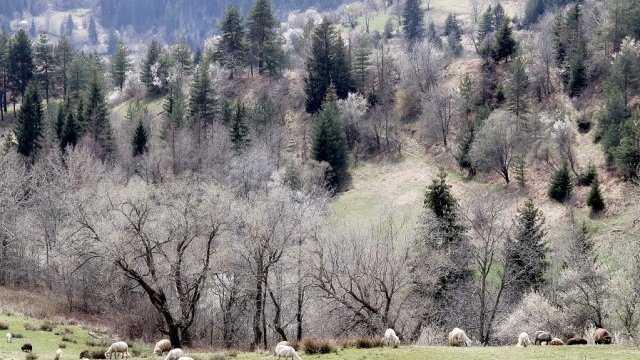 <p>
	<em>Снимка: БТА</em></p>
