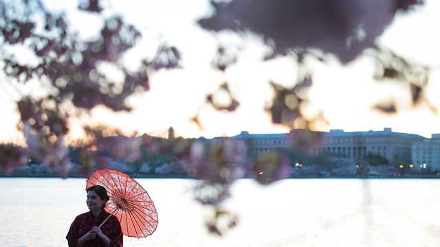 Снимка: Kayla Bartkowski/Getty Images