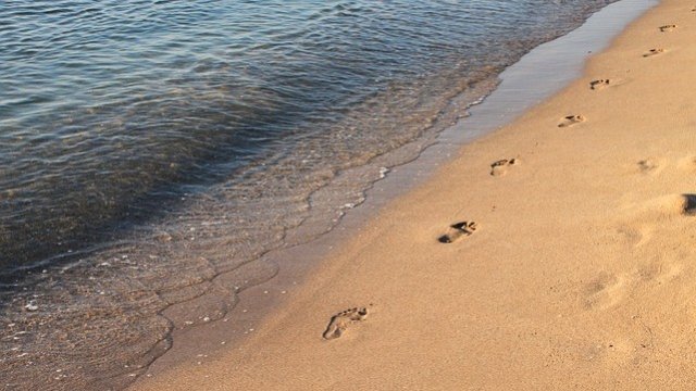 <p>
	<em>Снимка: Pixabay</em></p>
