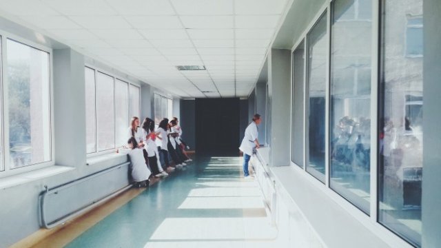 <p>
	<em>Снимка: Pixabay</em></p>
