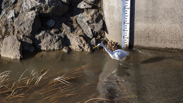 Снимка: Bloomberg L.P.