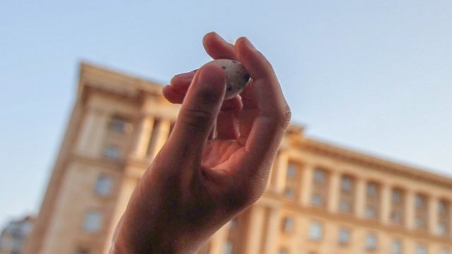 <p>
	Яйца от пъдпъдъци полетяха по сградата на Министерския съвет.<em> Снимка: Димитър Кьосемарлиев, Investor Media Group</em></p>
