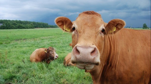 <p>
	<em>Снимка: www.freeimages.com</em></p>
