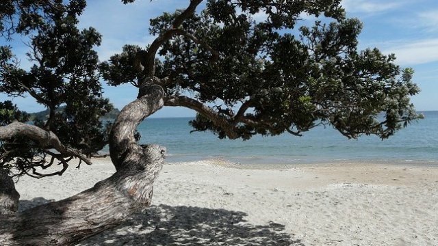 <p>
	<em>Снимка: Pixabay</em></p>
