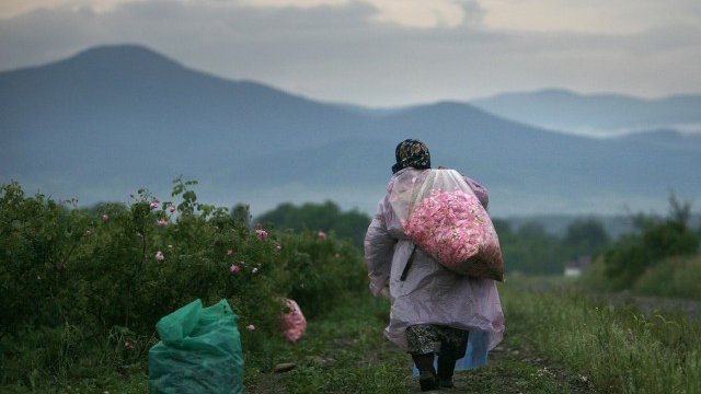 <p>
	<em>Снимка: архив Ройтерс</em></p>
