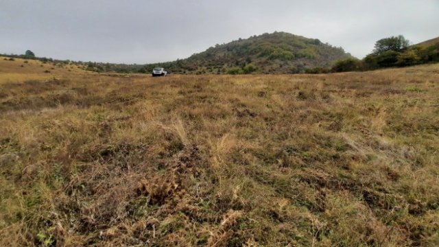 <p>
	Снимка: Investor.bg</p>
