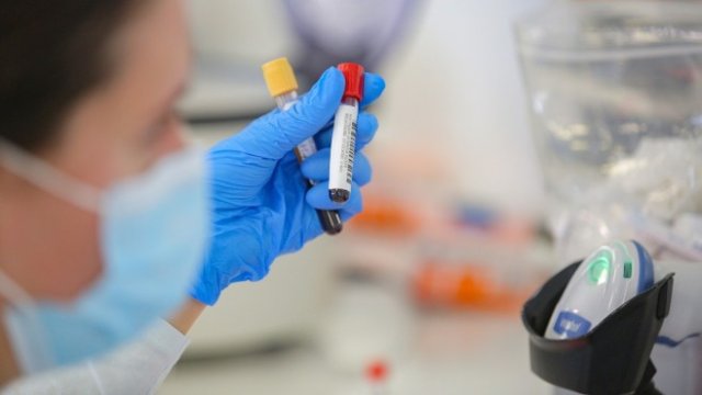 <p>
	<em font-size:="" pt="" style="color: rgb(102, 102, 102); font-family: ">Снимка: Димитър Кьосемарлиев, Investor Media Group</em></p>
