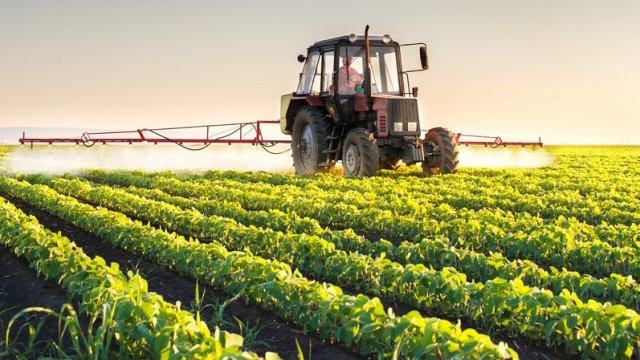 <p>
	<em>Снимка: Сибола</em></p>
