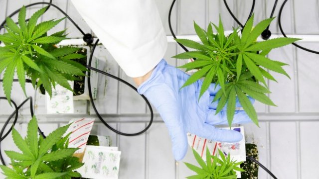 <p>
	<em>Снимка: Ройтерс</em></p>
