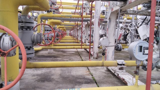 Снимка: Investor.bg