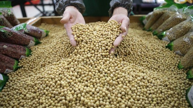 <p>
	<em>Снимка: архив Ройтерс</em></p>
