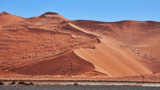 Снимка: Pixabay