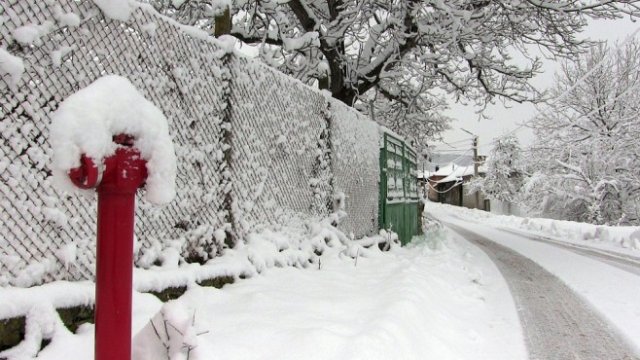 <p>
	Снимка: БТА</p>
