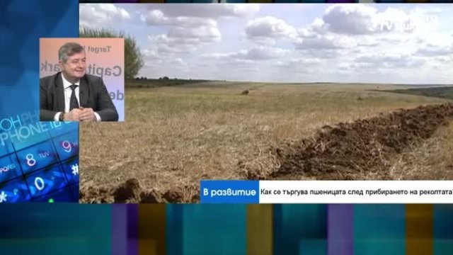 Защо има по-слаба реколта от пшеница в България тази година? 
