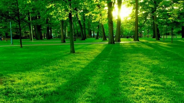 <p>
	<em>Снимка: Pixabay</em></p>
