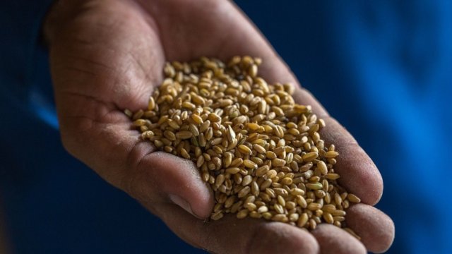 Снимка: Bloomberg L.P.