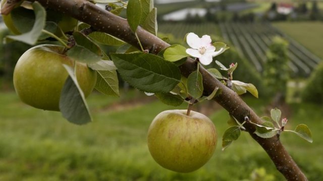 <p>
	<em>Снимка: Архив Ройтерс</em></p>
