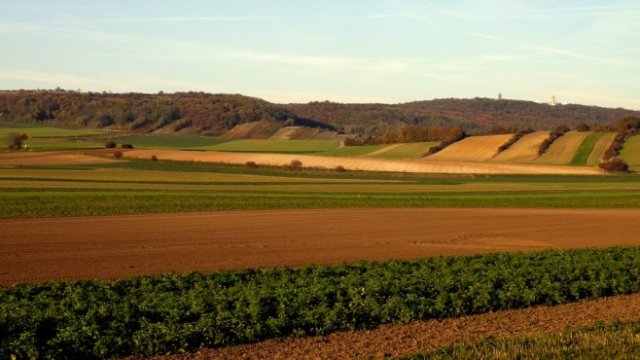 <p>
	<em>Снимка: Pixabay</em></p>
