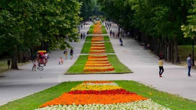 <p>
	<em>Снимка: Община Варна</em></p>
