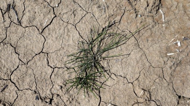 <p>
	Снимка: Getty Images News</p>
