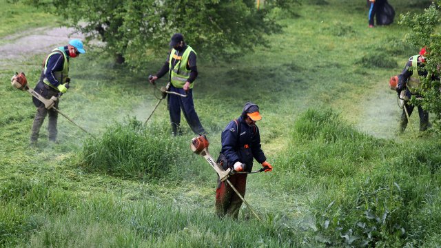 Снимка: БГНЕС/БОБИ ТОШЕВ