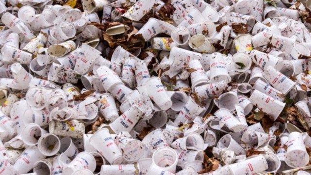 <p>
	<em>Снимка: Pixabay</em></p>
