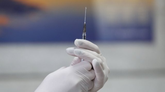 <p>
	<em>Снимка: Димитър Кьосемарлиев, Investor Media Group</em></p>
