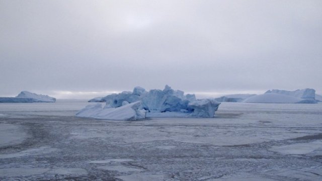 <p>
	<em>Снимка: Архив Ройтерс</em></p>
