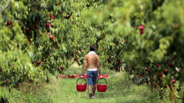 <p>
	<em>Снимка: архив, Ройтерс</em></p>
