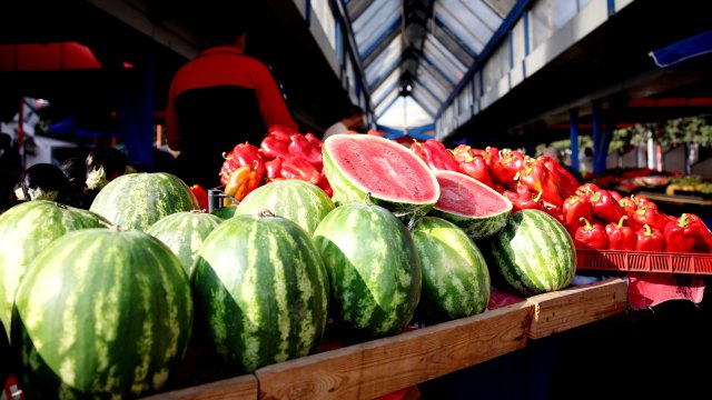 Снимка: Надежда Пеева, БГНЕС