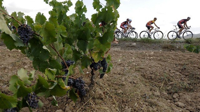 <p>
	<em>Снимка: Архив Ройтерс</em></p>
