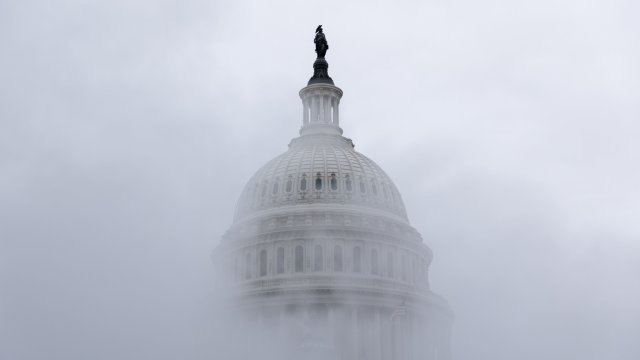 Снимка: Julia Nikhinson/Bloomberg