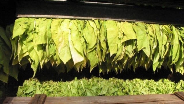 <p>
	<em>Снимка: Pixabay</em></p>
