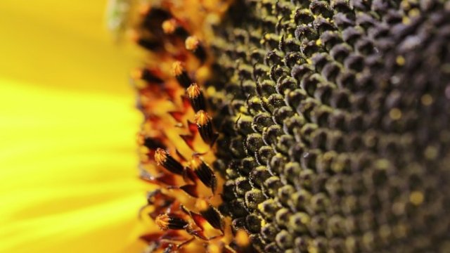 <p>
	<em>Снимка:&nbsp;Pixabay</em></p>
