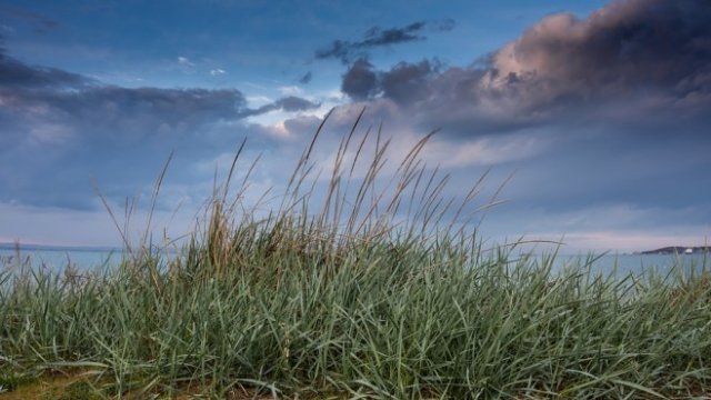 <p>
	<em>Снимка: Pixabay</em></p>
