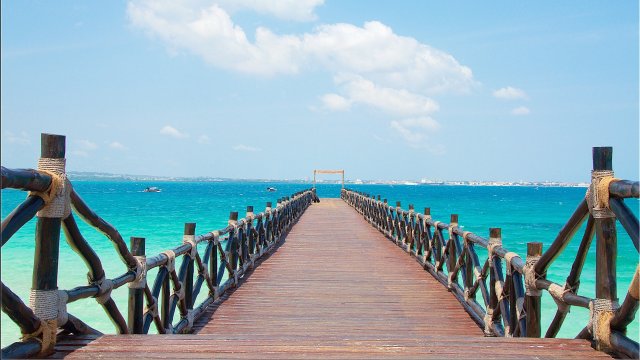 Снимка: Pixabay