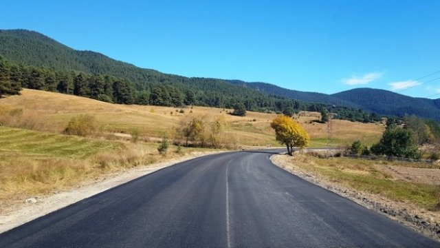 <p>
	<em>Снимка: АПИ</em></p>
