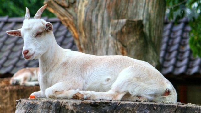 <p>
	<em>Снимка: Pixabay</em></p>
