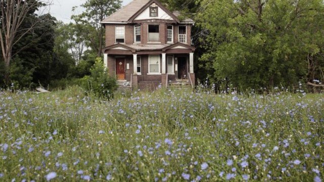 <p>
	Една от хилядите изоставени къщи в Детройт. <em>Снимка: Ройтерс</em></p>
