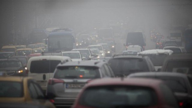 <p>
	<em>Снимка: Димитър Кьосемарлиев, Investor Media Group</em></p>
<p>
	&nbsp;</p>
