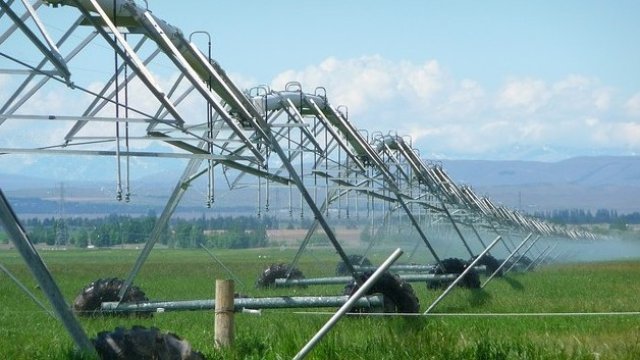 Сушата и пожарите засилват нуждата от внедряване на технологии в земеделието