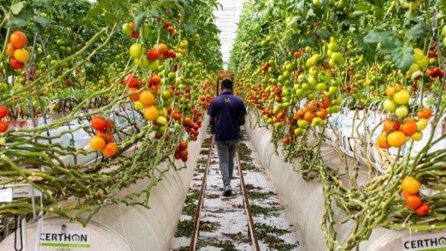 <p>
	<em>Снимка:Christopher Pike/Bloomberg</em></p>
