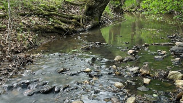 <p>
	<em>Снимка: Pixabay</em></p>
